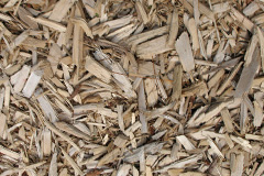 biomass boilers Trythogga
